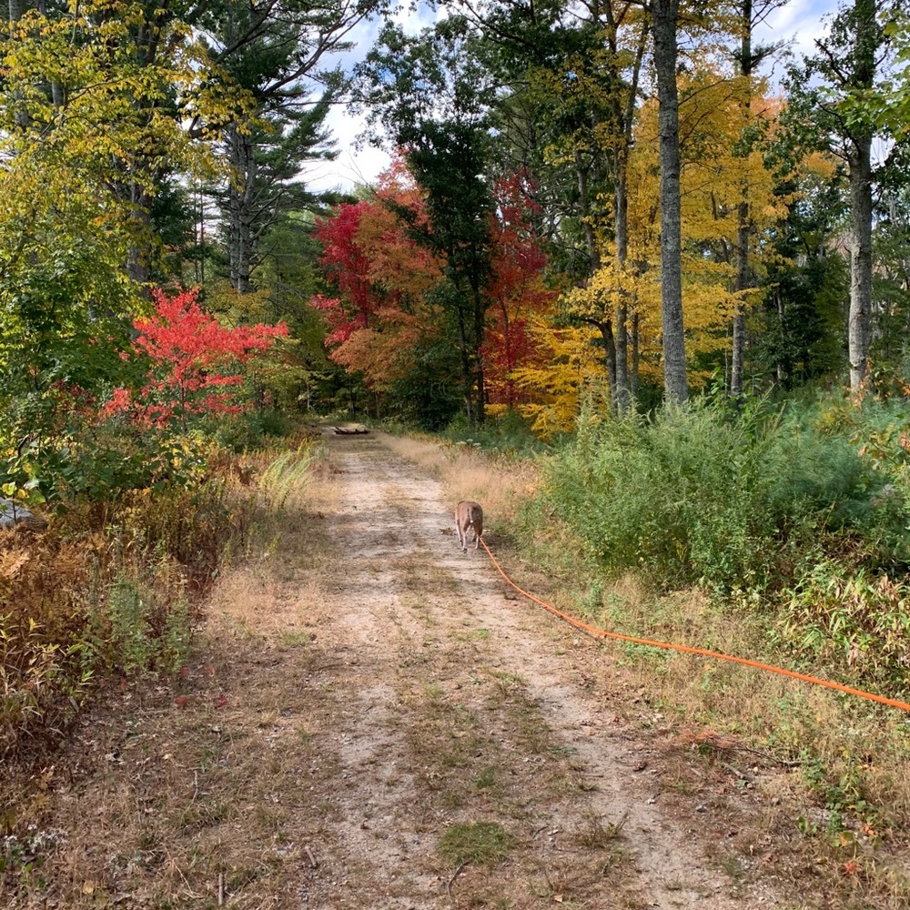 Meet your Posher, Jamie